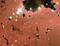 Thumbnail image. Click to load APOD for this date