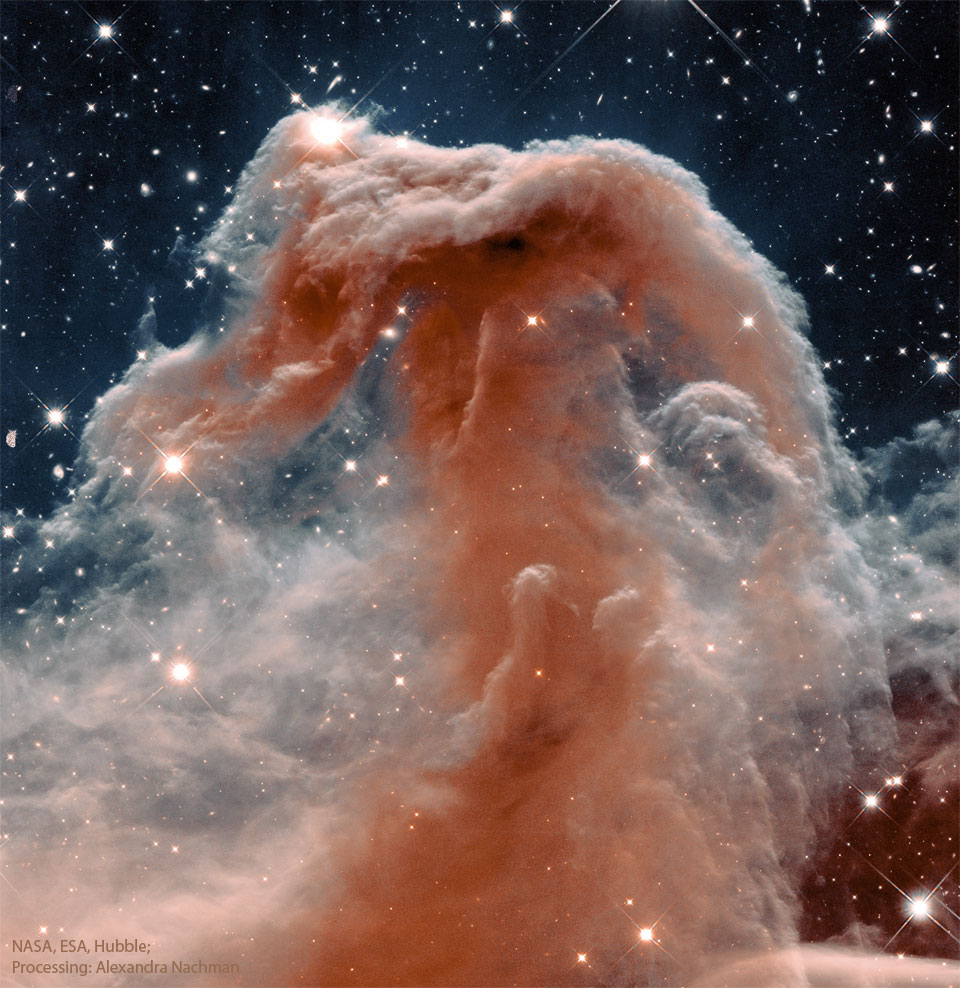 The featured image just the head of the famous Horsehead
Nebula as captured by the Hubble Space Telescope in infrared 
light.
Please see the explanation for more detailed information.