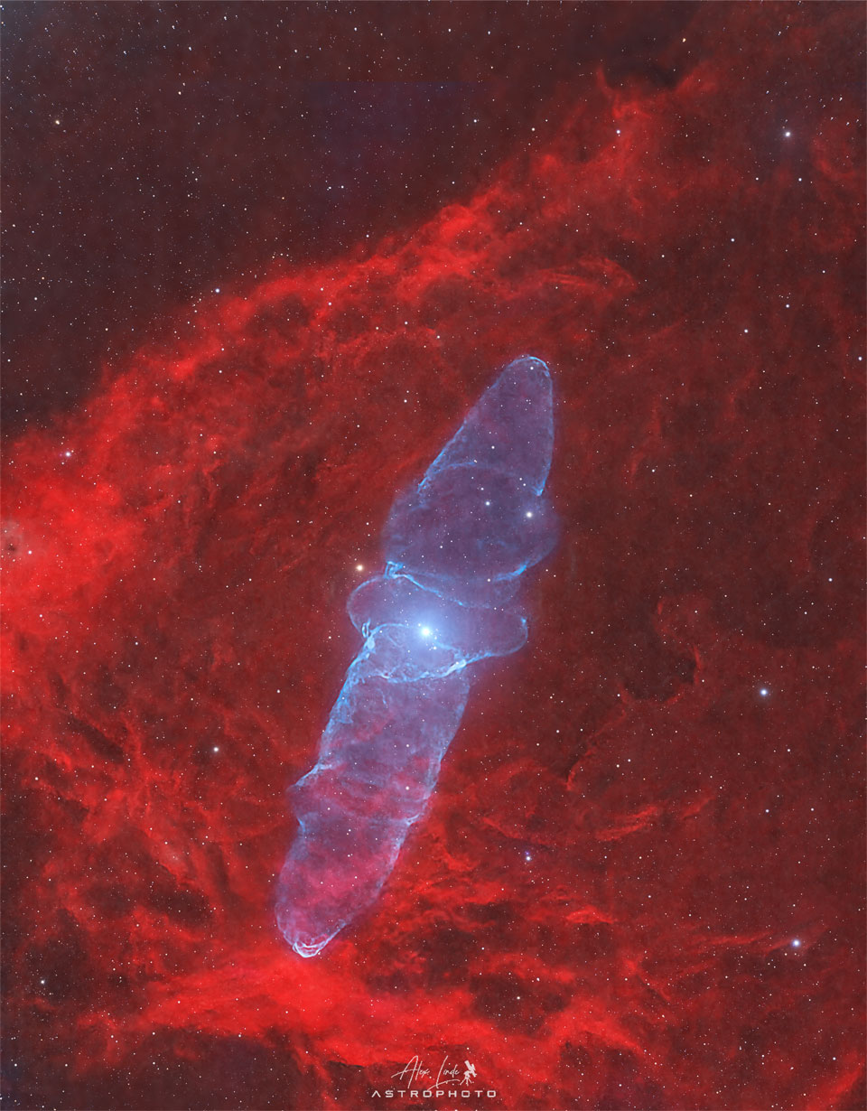 A starfield has a red nebula covering much of the frame
but in the centre, extending nearly vertically, is a blue
nebula that appears shaped, to some, like a squid.
Please see the explanation for more detailed information.