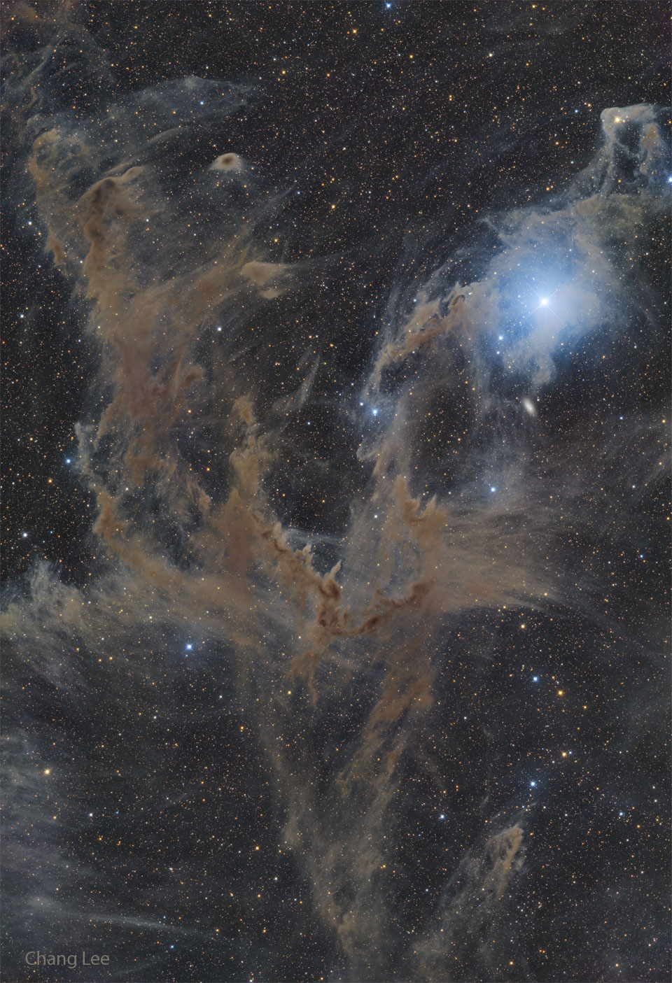 The featured image shows a dark nebula complex involving
thick dust appearing brown and making a big 