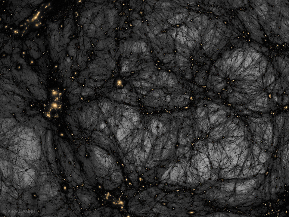 A complicated web of dark filaments is seen against
a light background. When many filmaments intersect, an
orange spot is seen. 
Please see the explanation for more detailed information.