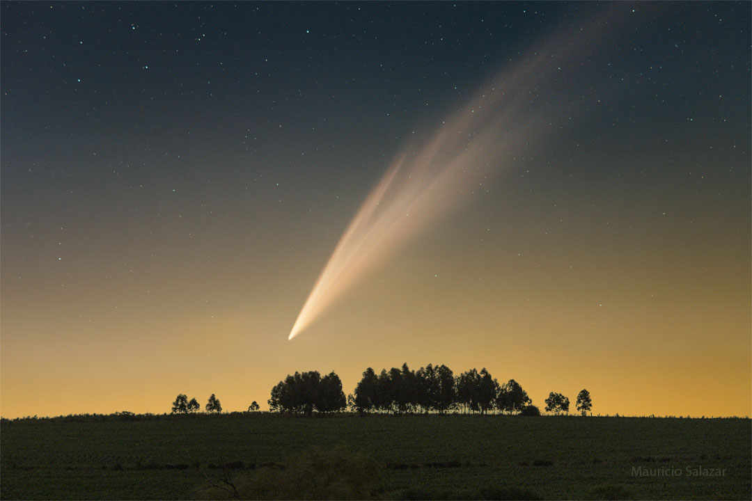 A foreground grass field is shown below a distant field 
of stars. On the grass field are some trees. Dwarfing the 
trees, in the sky, is a comet with a long tail. 
Please see the explanation for more detailed information.