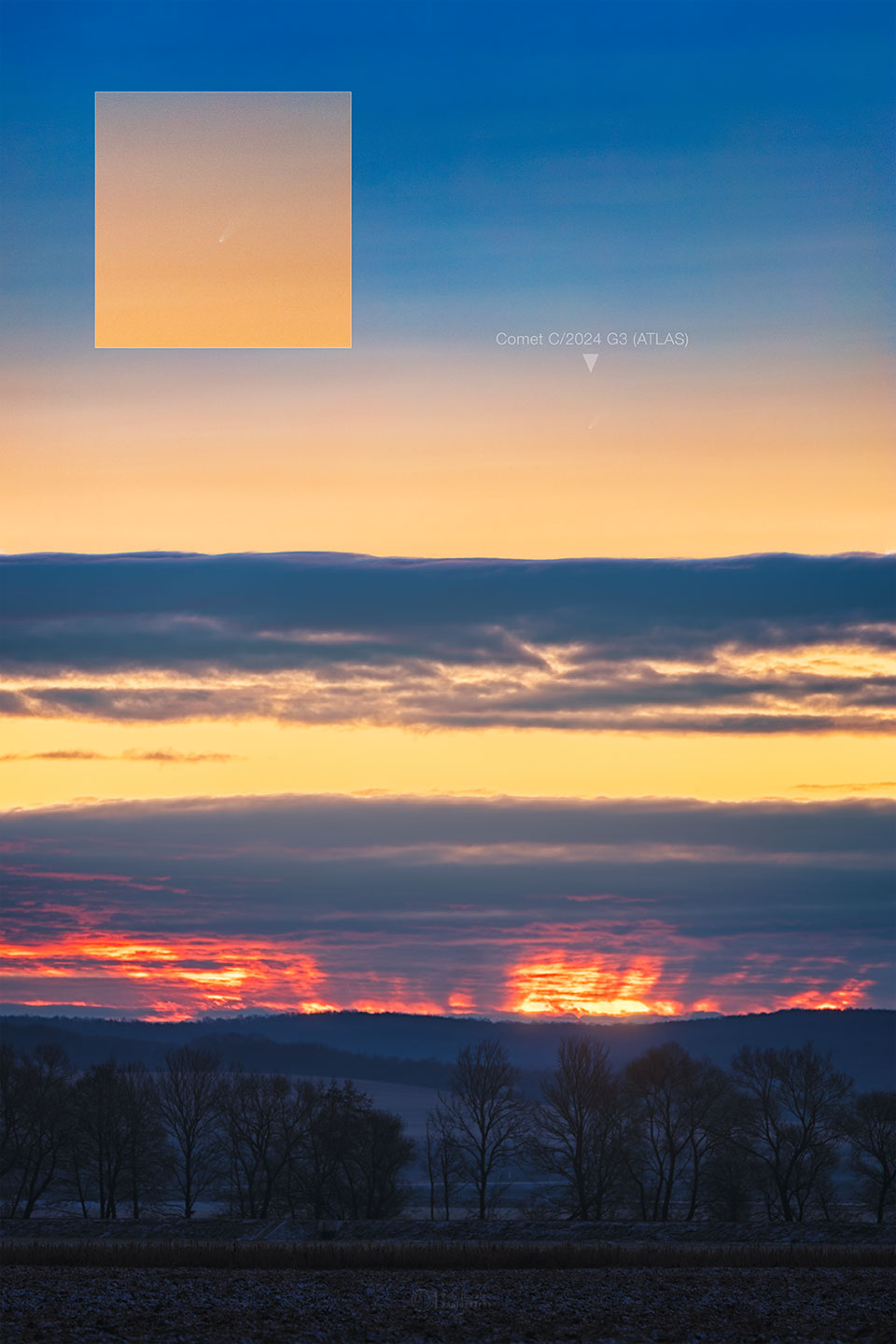 A morning sky is shown about a line of trees. In the sky is a 
faint comet. The comet is shown in better detailed in an inset
image on the upper left. 
Please see the explanation for more detailed information.