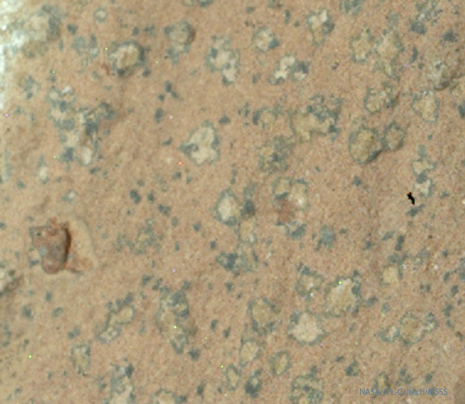 Part of a large rock on Mars is shown being mostly
orange. On the rock are several irregular light-coloured areas
surrounded by a dark border. The spots are only millimetres
across but might be a remnant biosignature of ancient 
Martian life.
Please see the explanation for more detailed information.