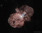 Thumbnail image. Click to load APOD for this date