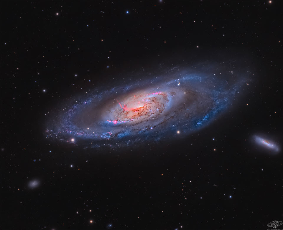 A spiral galaxy with blue spiral arms and a bright 
centre is shown. The galaxy is surrounded by foreground 
stars and two smaller galaxies. In the galaxy's centre
are dark brown dust and red emission filaments.
Please see the explanation for more detailed information.