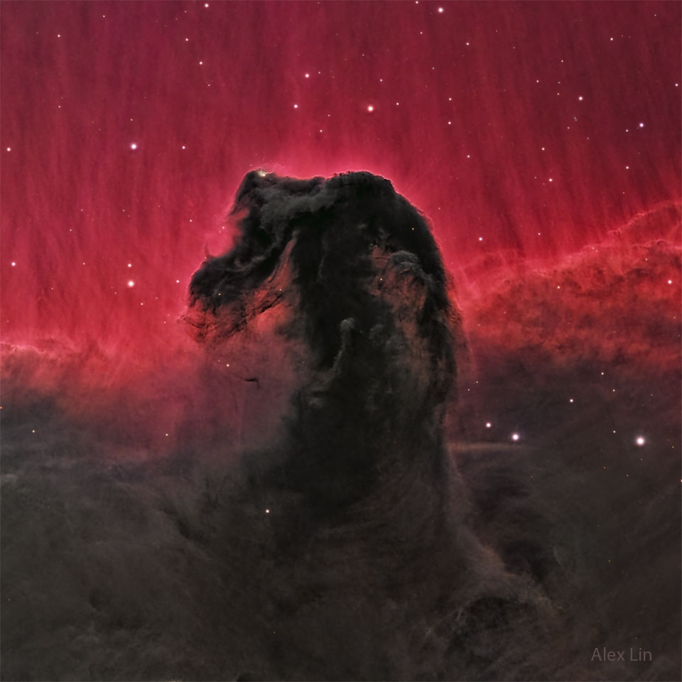 The top half glows red, while the bottom half is filled
 with dark dust. Protruding into the red is a dark dust
lane that resembles a horse's head. 
Please see the explanation for more detailed information.