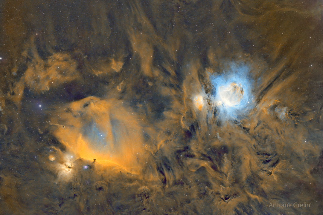 The featured image a starfield that glows gold. On the left
is the dark horsehead nebula, while on the right is the blue-glowing
Orion Nebula.
Please see the explanation for more detailed information.