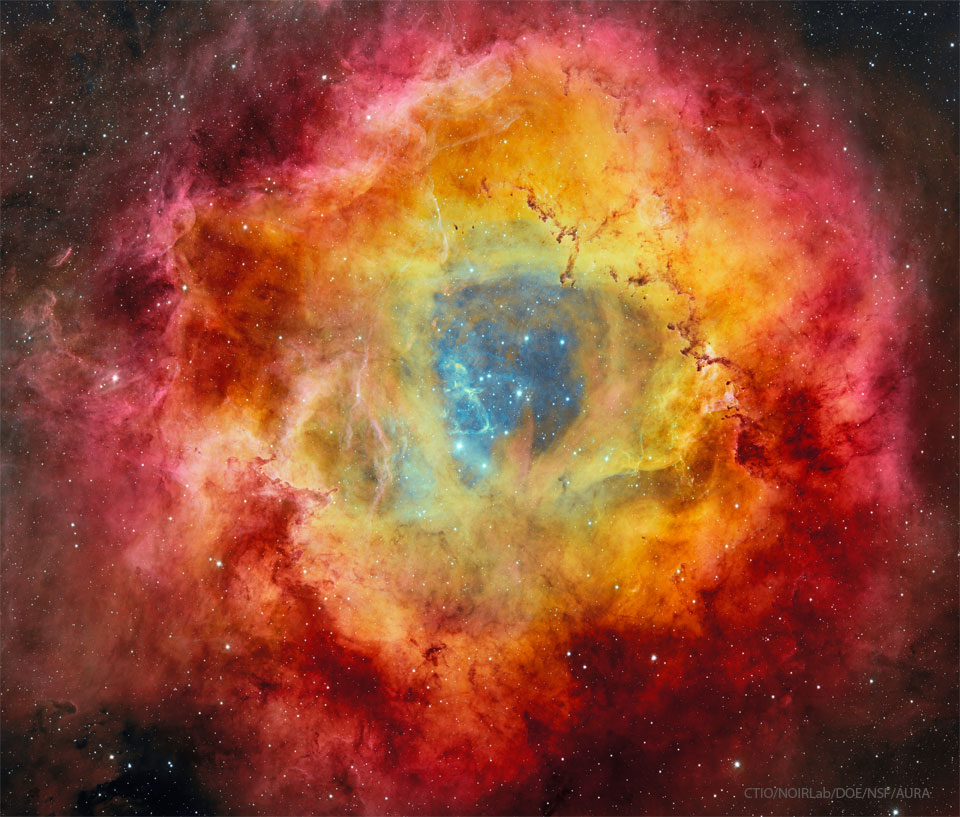 A deep image of the Rosette Nebula is shown along 
with a field of stars. As many colour filters were used, 
the flowery nebula takes on many colours with blue in the
centre, yellow and orange around the blue, and red 
around the outside. 
Please see the explanation for more detailed information.